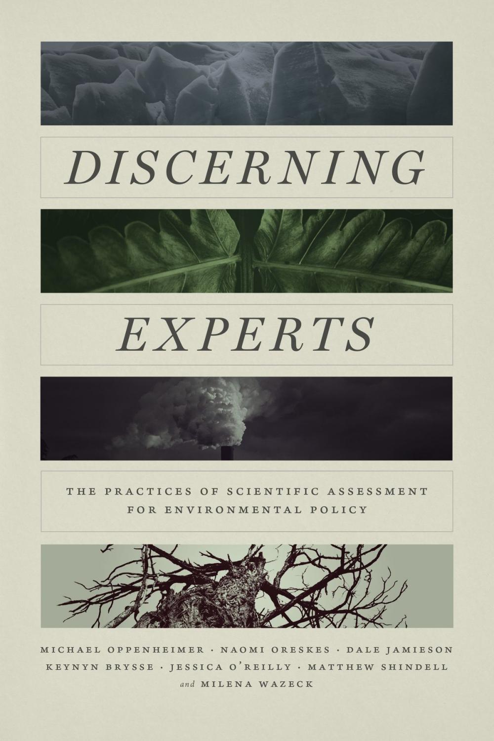 Big bigCover of Discerning Experts