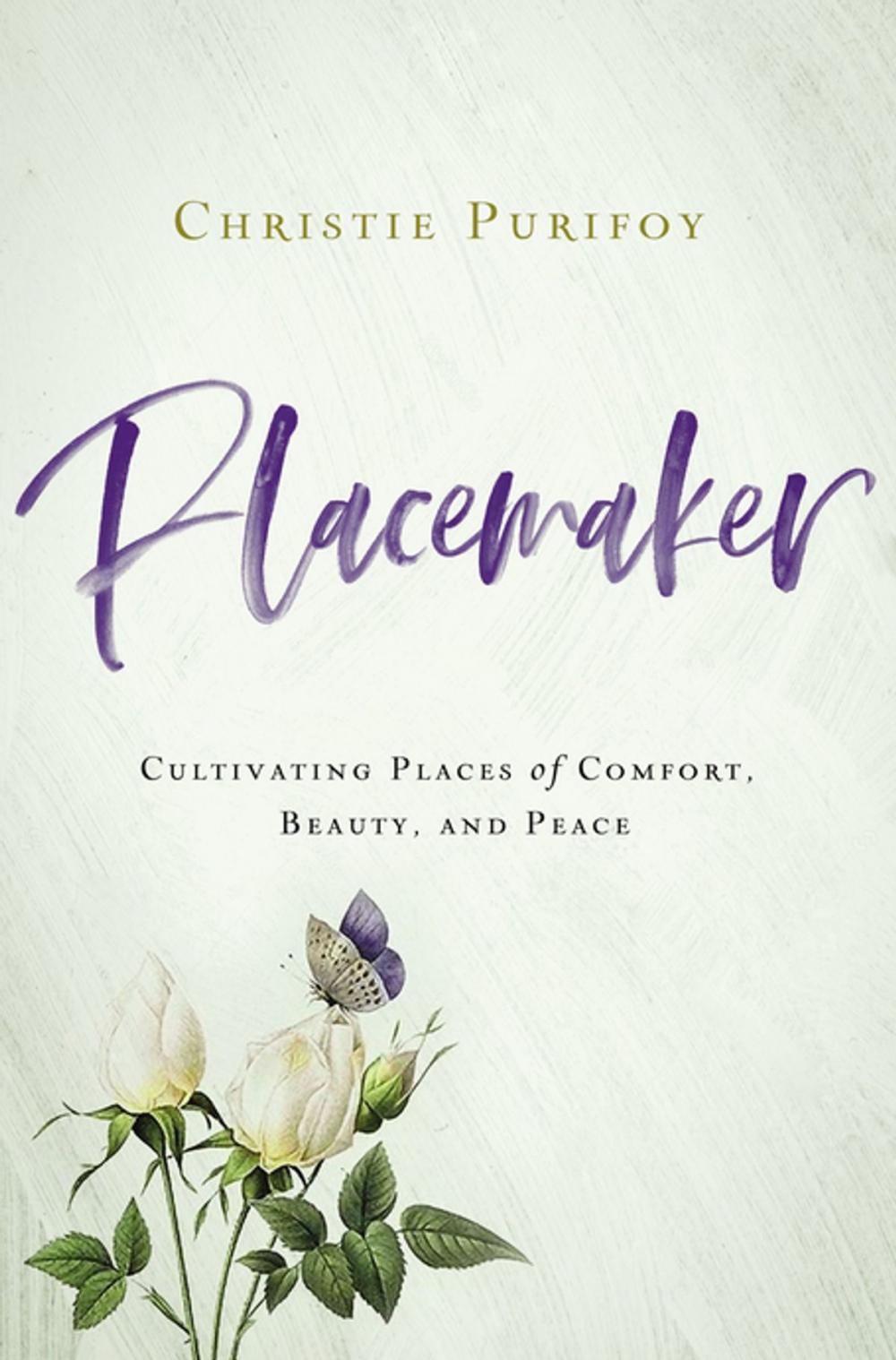 Big bigCover of Placemaker