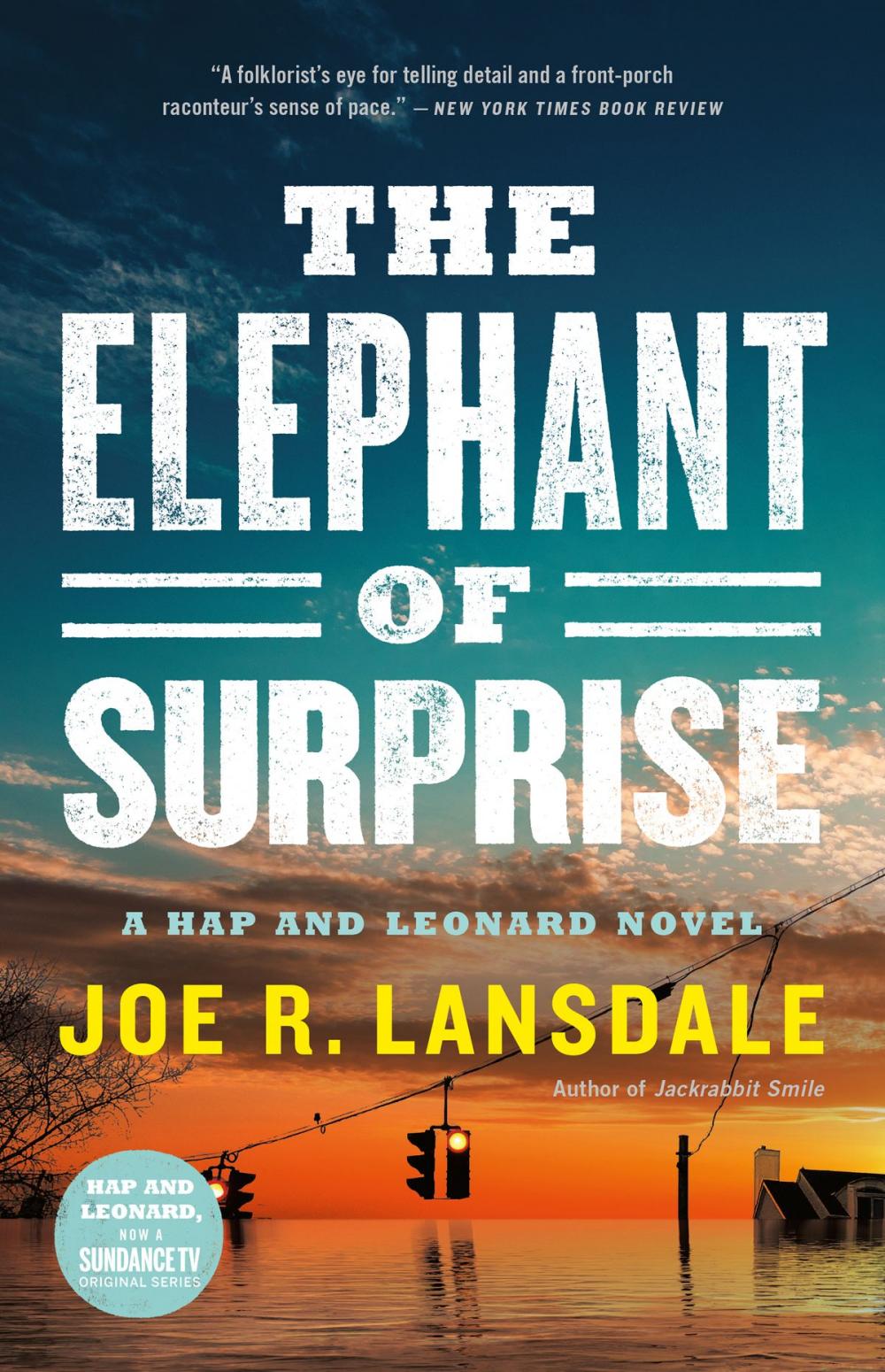 Big bigCover of The Elephant of Surprise