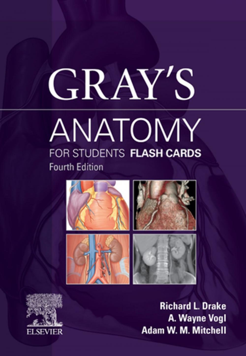 Big bigCover of Gray's Anatomy for Students Flash Cards E-Book