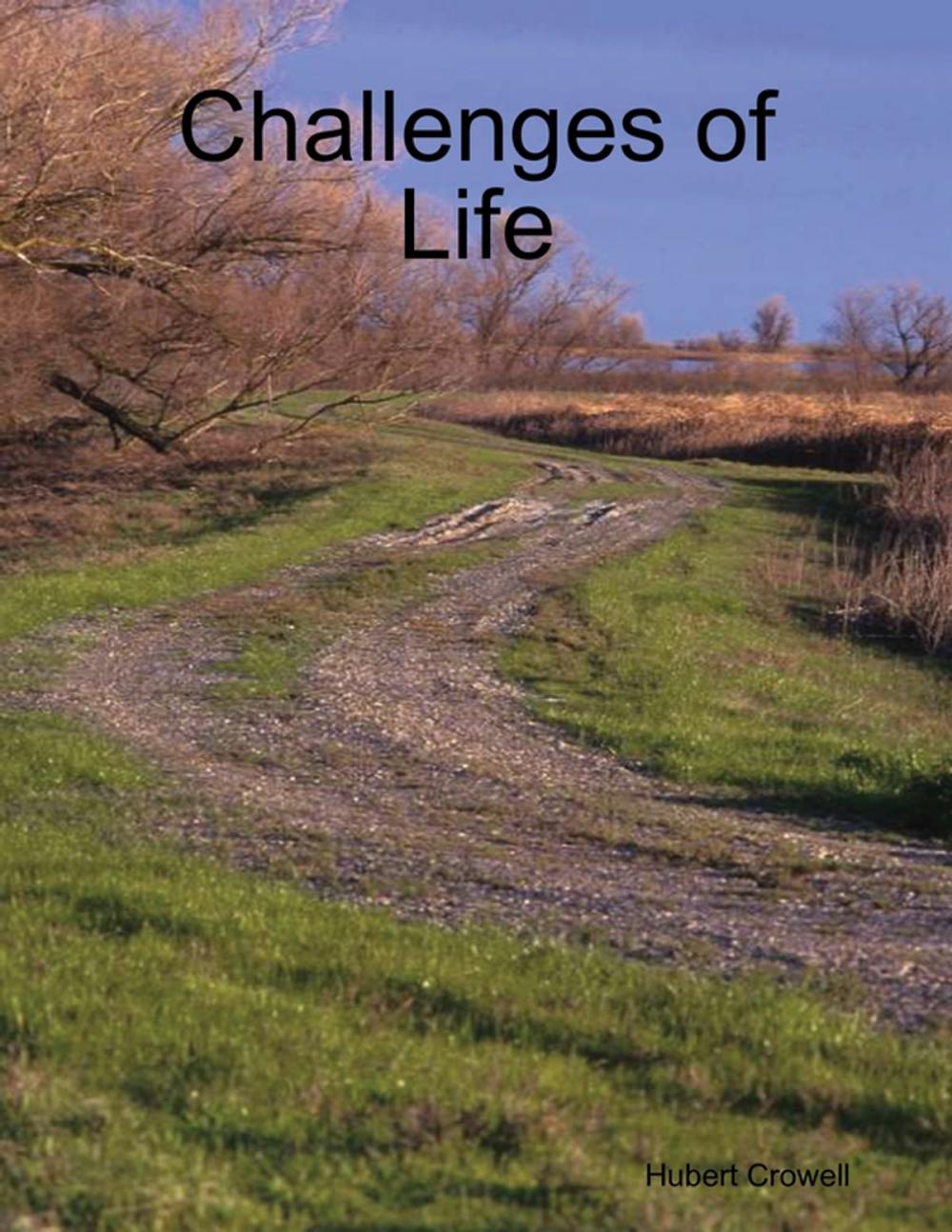 Big bigCover of Challenges of Life