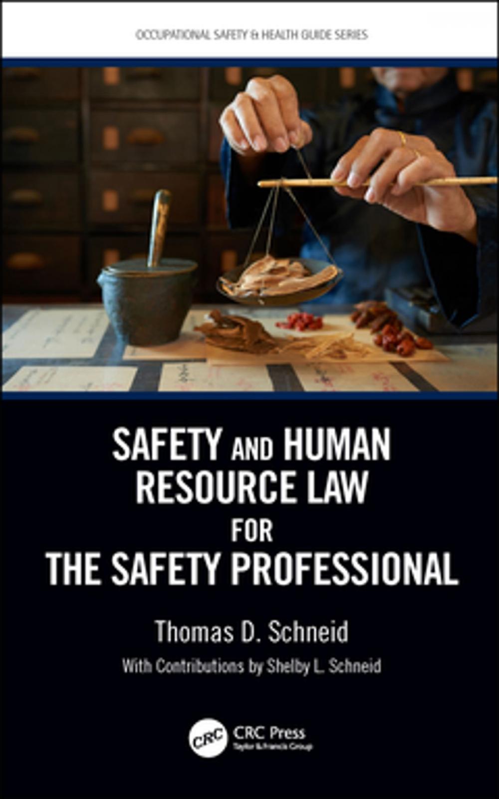 Big bigCover of Safety and Human Resource Law for the Safety Professional