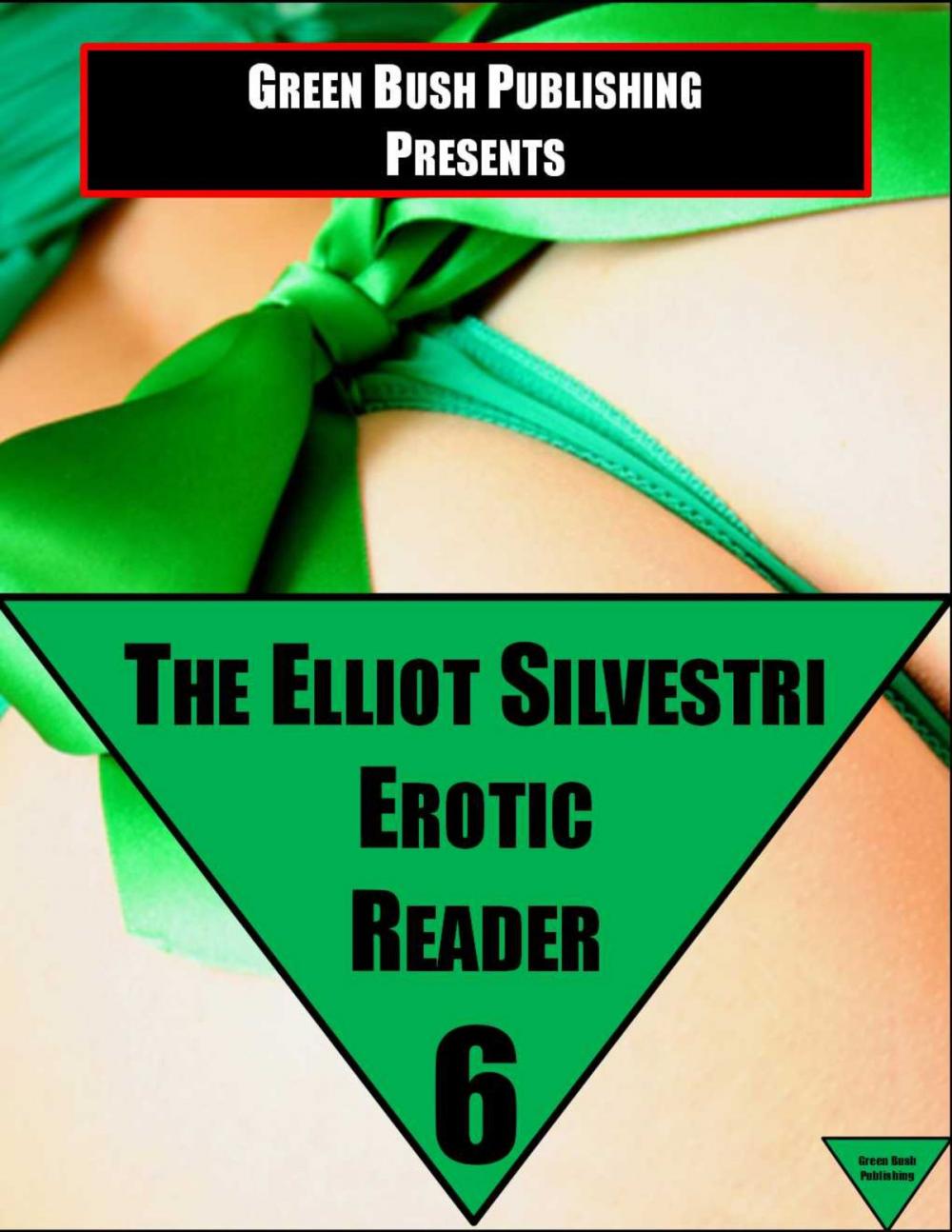 Big bigCover of The Elliot Silvestri Erotic Reader Volume 6