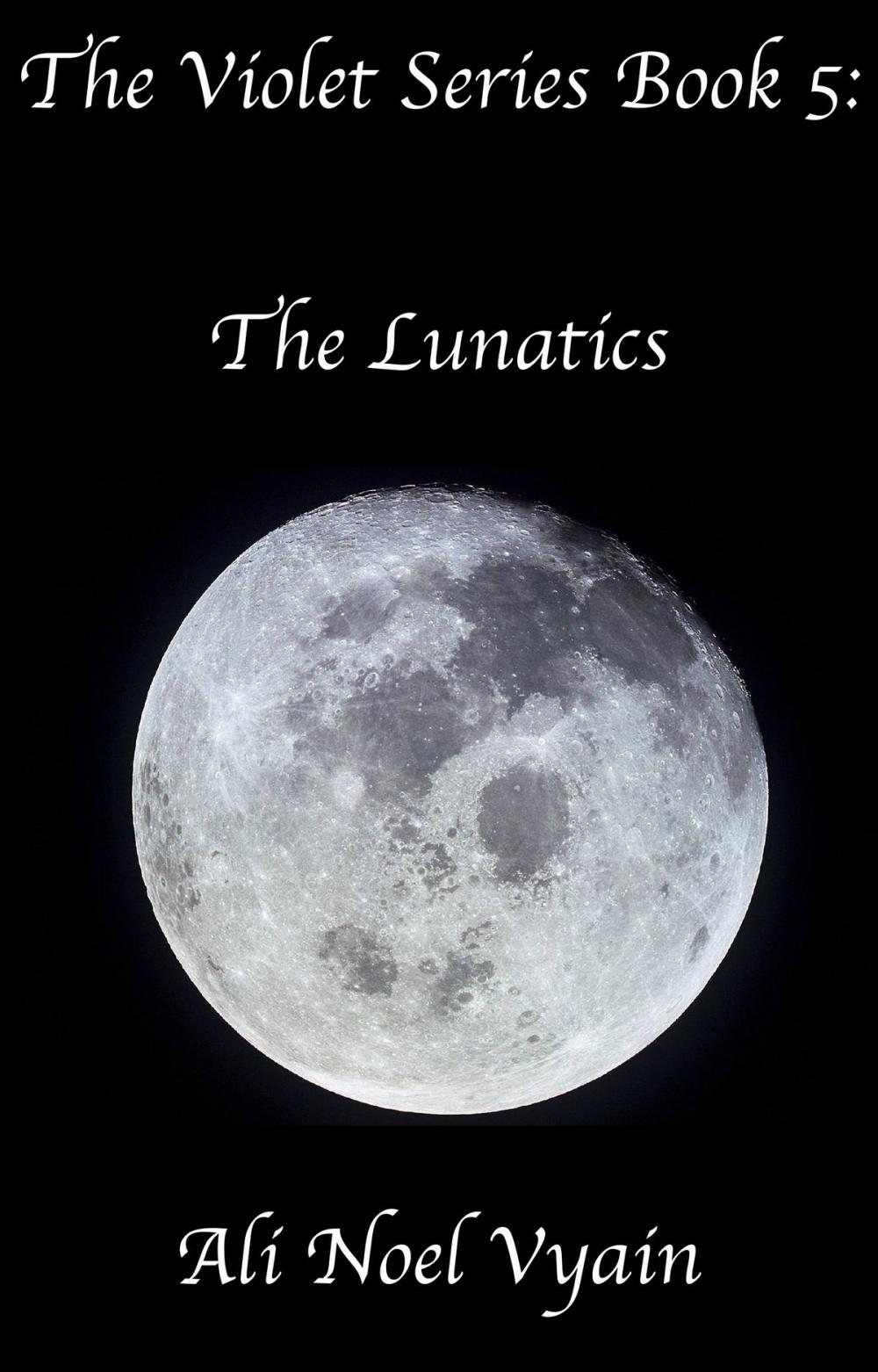 Big bigCover of The Lunatics