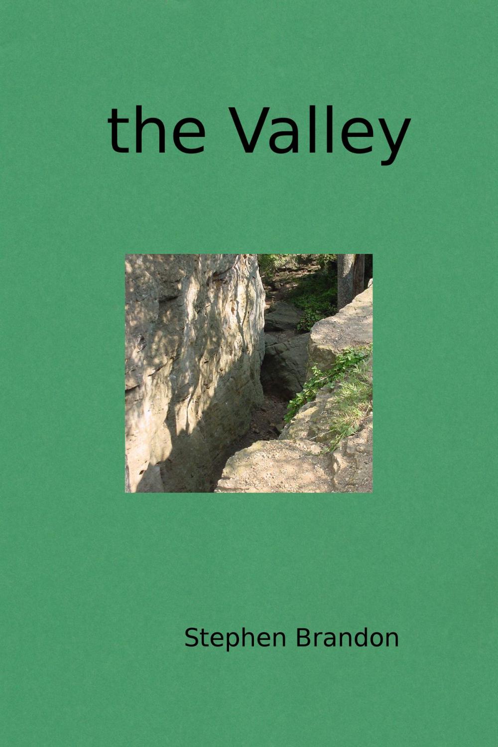 Big bigCover of The Valley