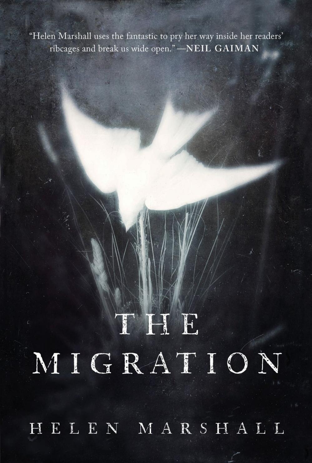 Big bigCover of The Migration