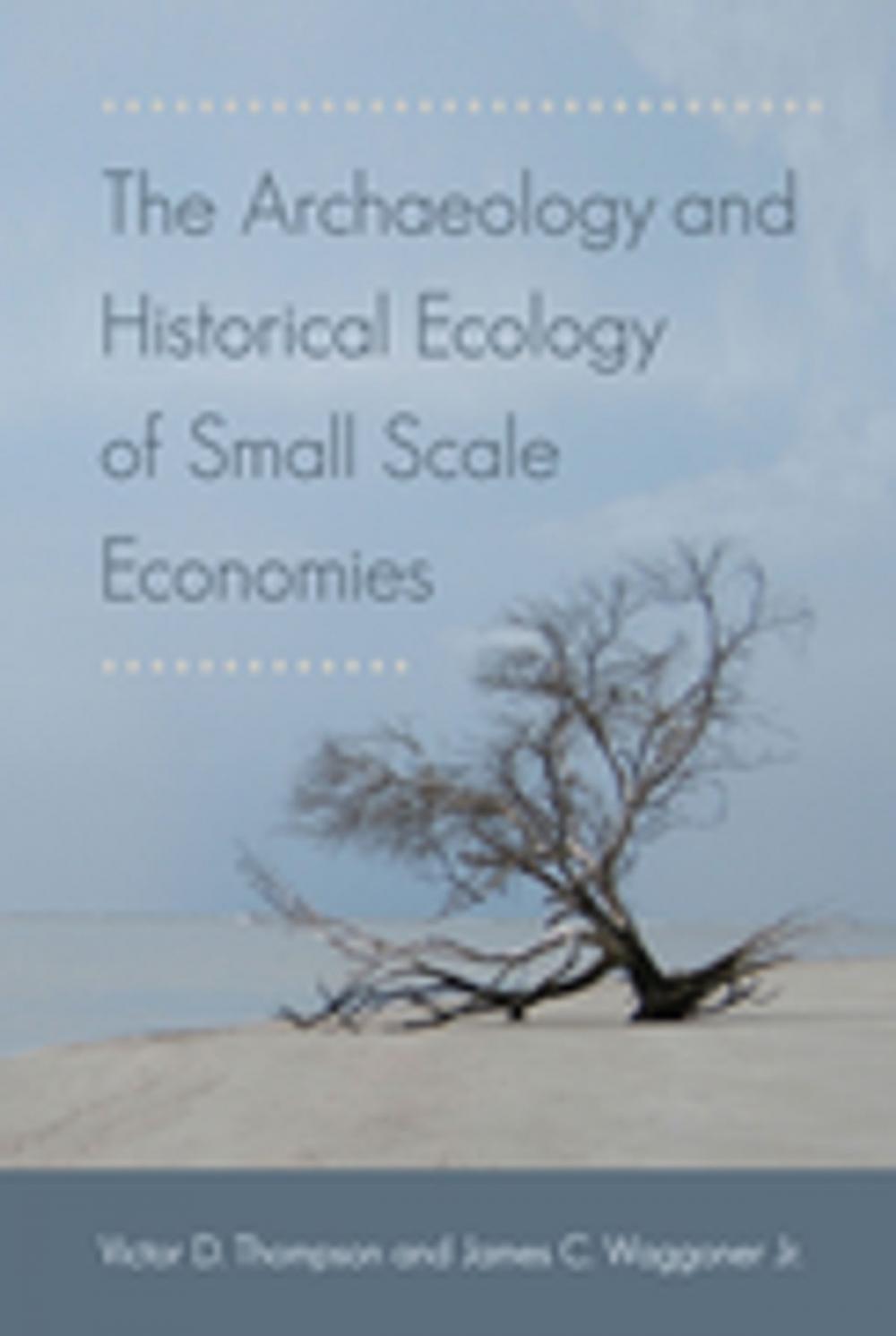 Big bigCover of The Archaeology and Historical Ecology of Small Scale Economies