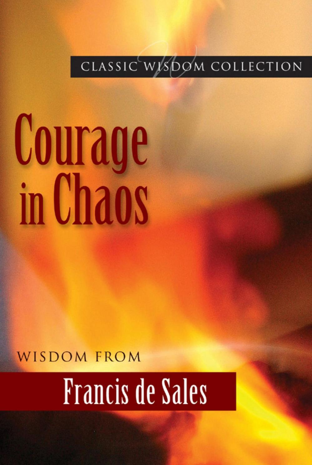 Big bigCover of Courage in Chaos