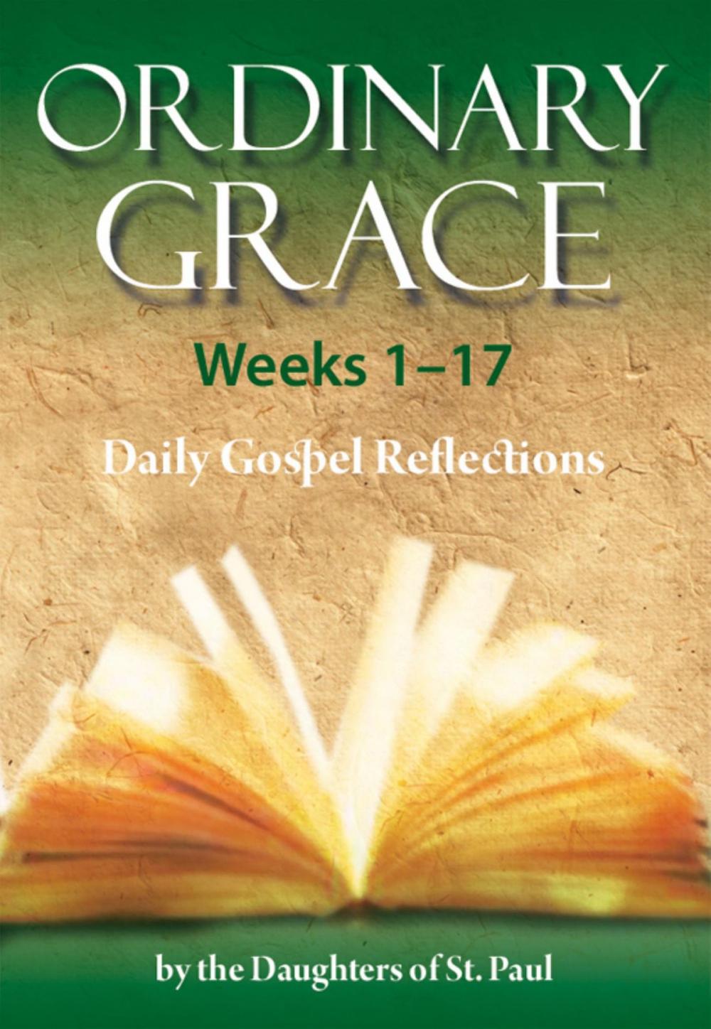 Big bigCover of Ordinary Grace - Weeks 1–17