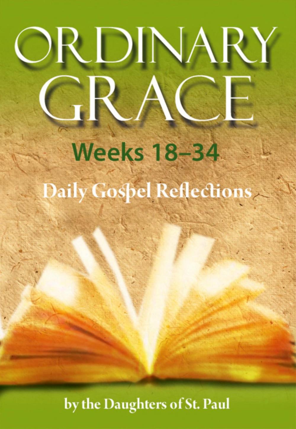 Big bigCover of Ordinary Grace - Weeks 18–34