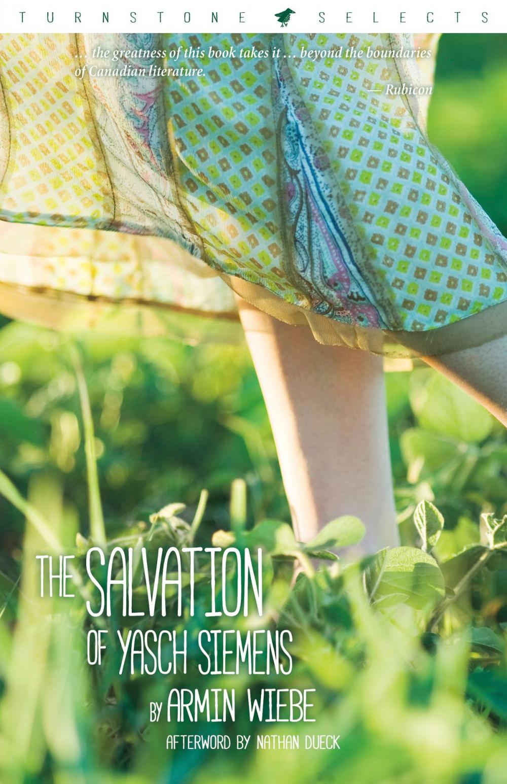 Big bigCover of The Salvation Of Yasch Siemens