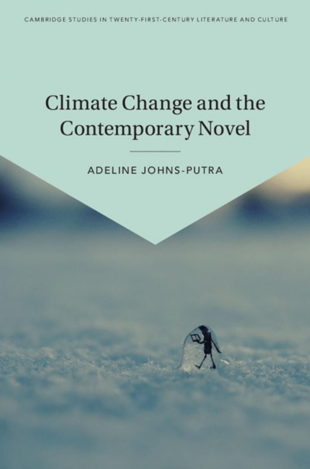 Big bigCover of Climate Change and the Contemporary Novel