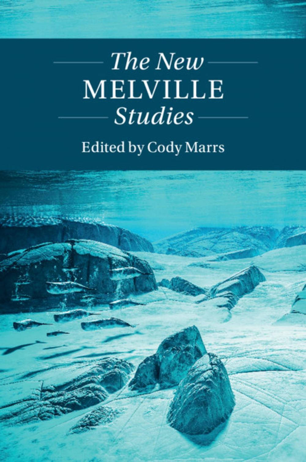 Big bigCover of The New Melville Studies