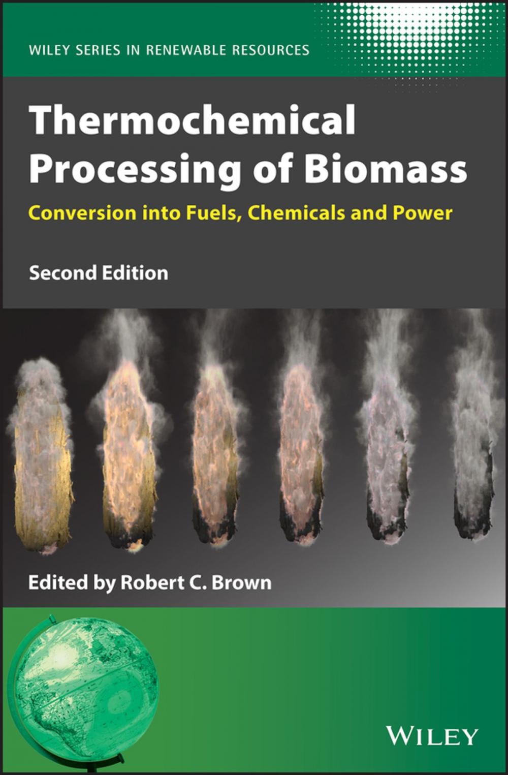 Big bigCover of Thermochemical Processing of Biomass