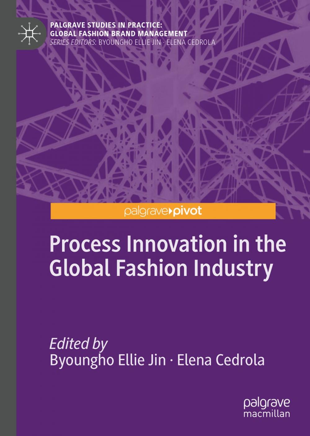 Big bigCover of Process Innovation in the Global Fashion Industry