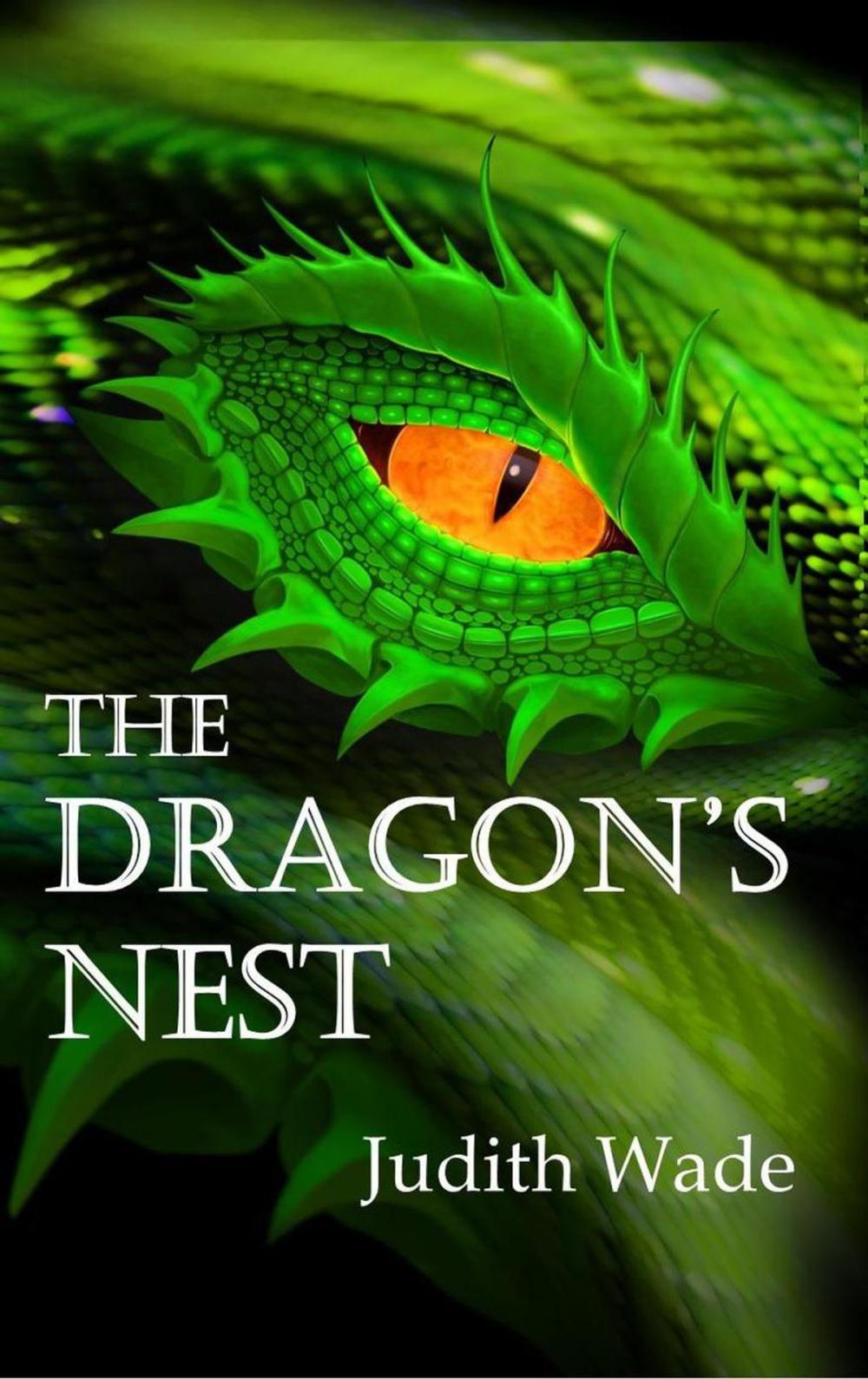 Big bigCover of The Dragon's Nest