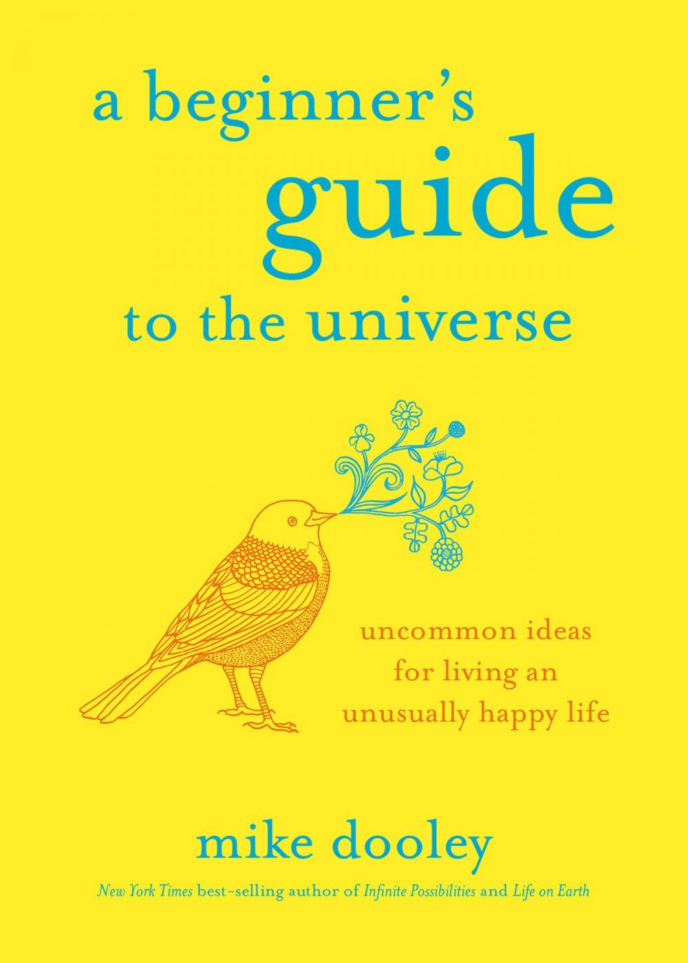 Big bigCover of A Beginner's Guide to the Universe