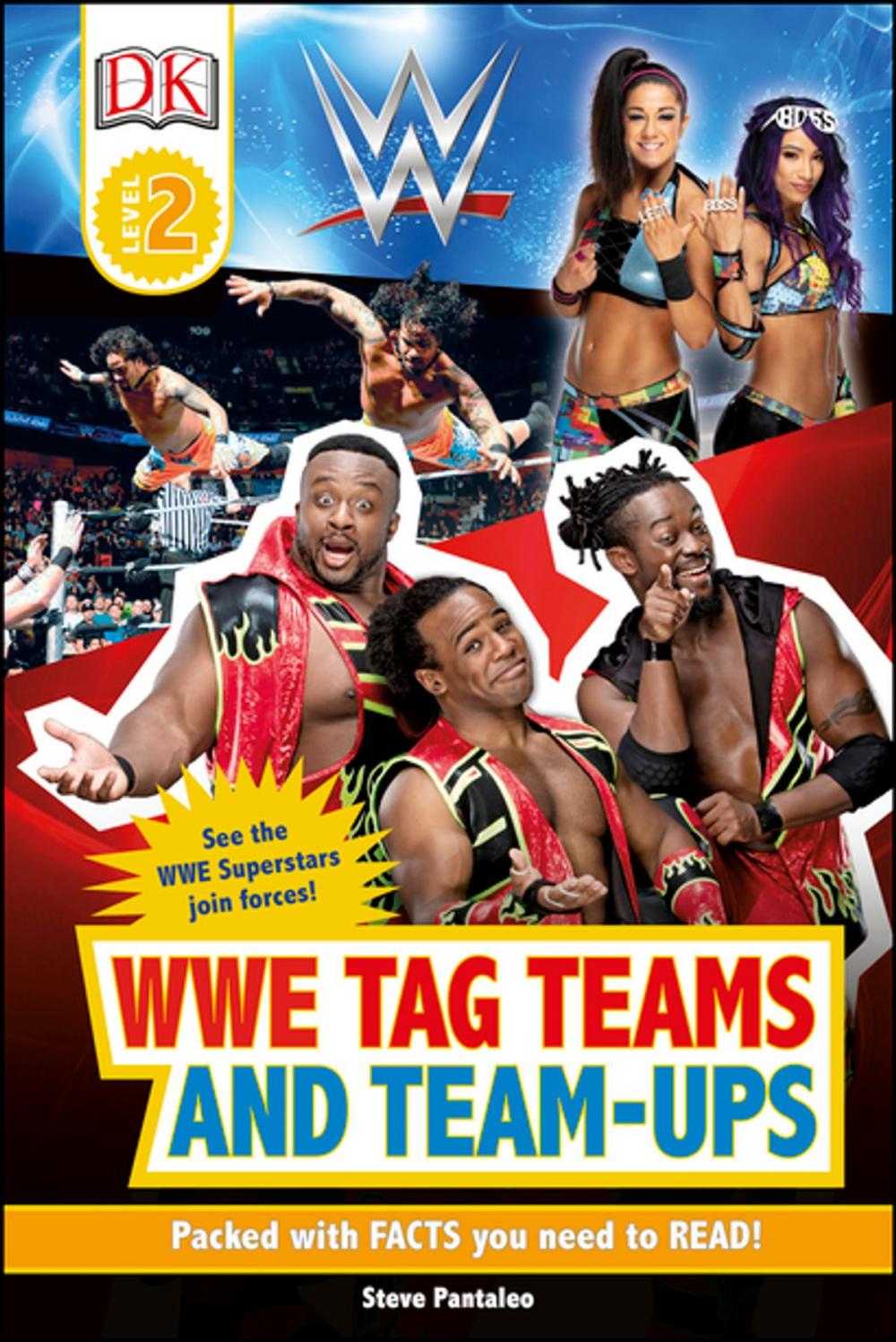 Big bigCover of WWE Tag-Teams and Team-Ups