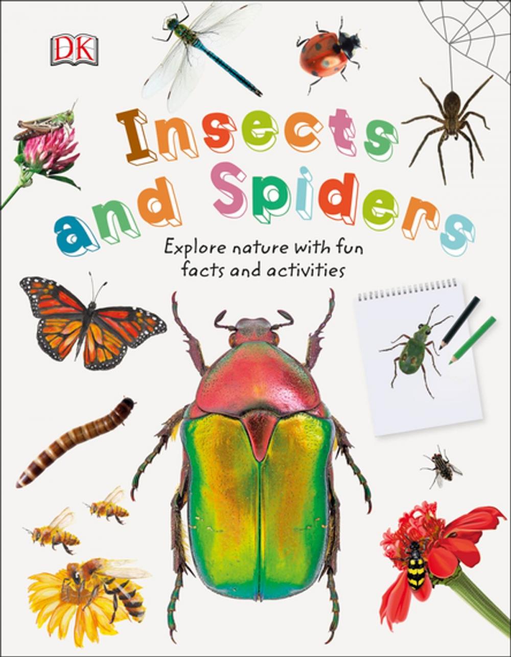 Big bigCover of Insects and Spiders