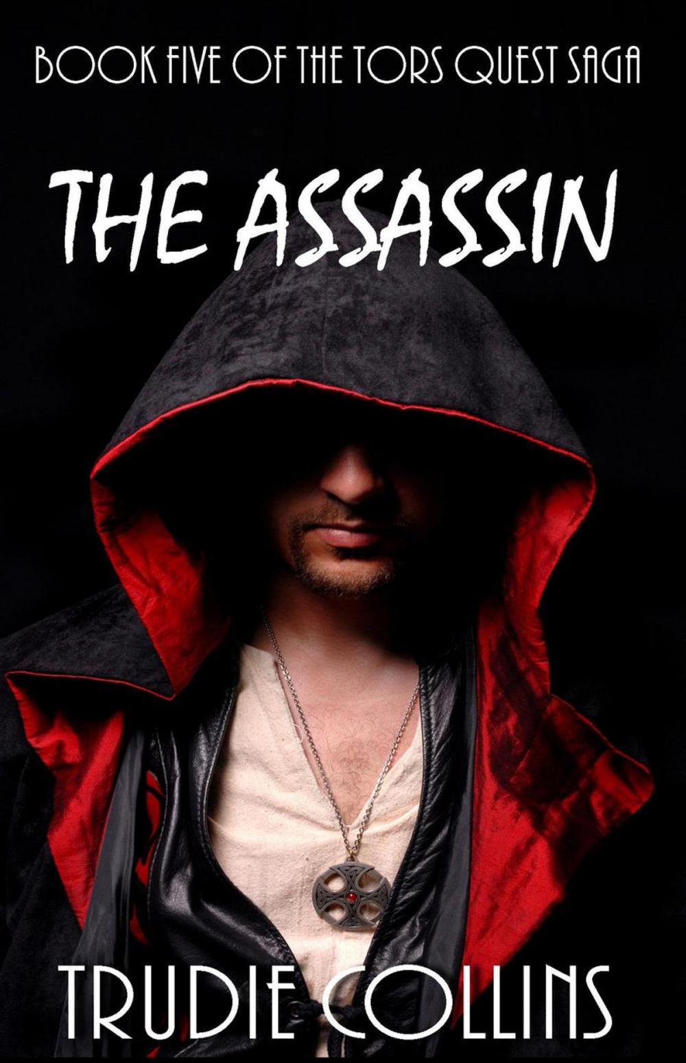 Big bigCover of The Assassin