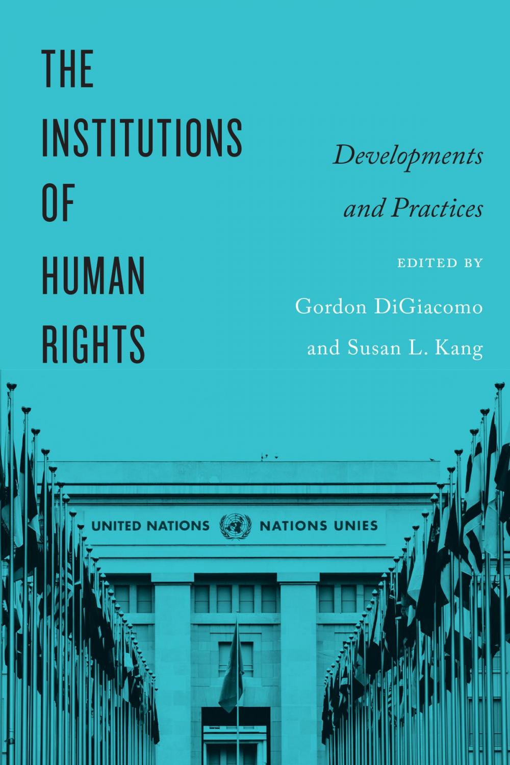 Big bigCover of The Institutions of Human Rights