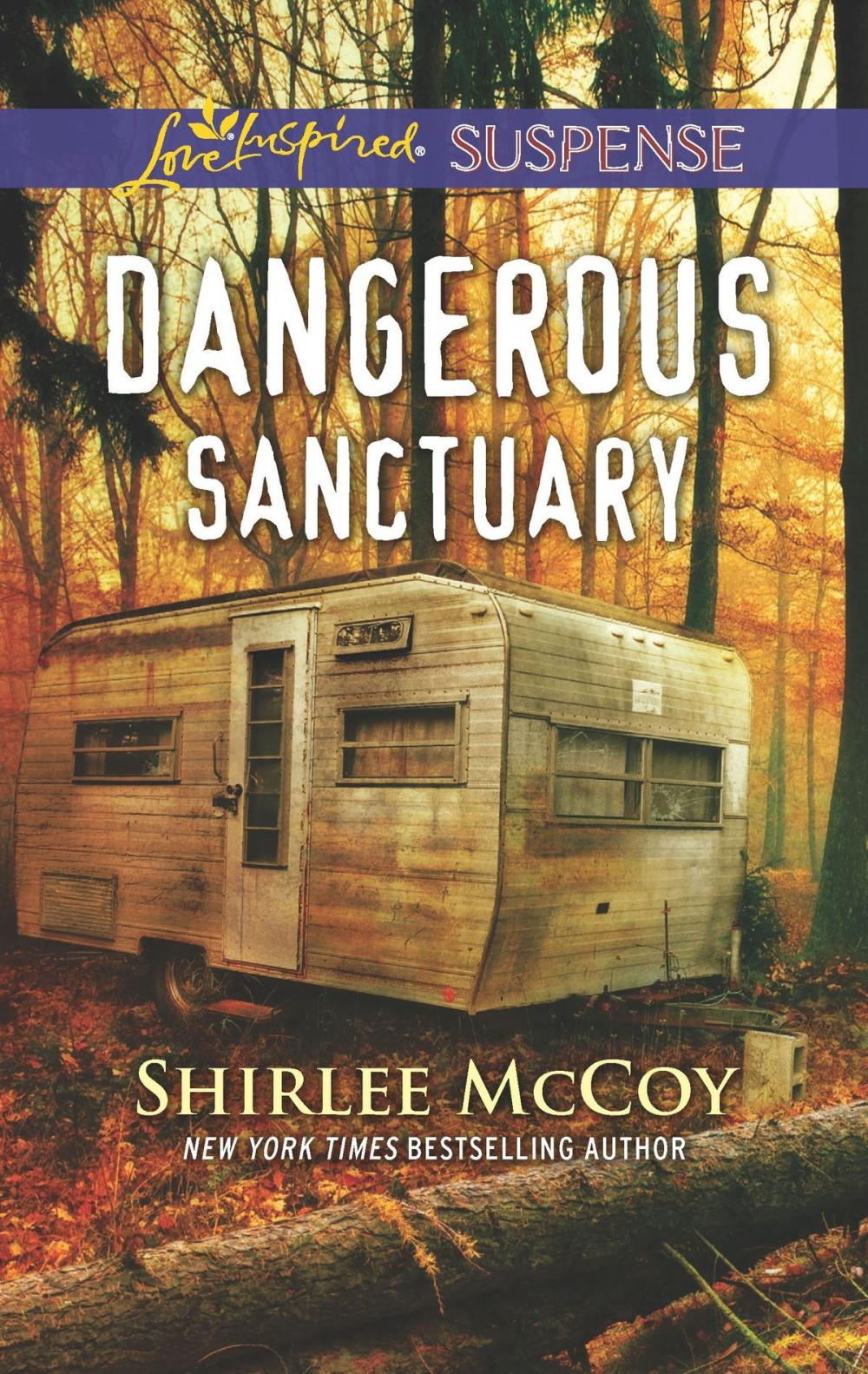 Big bigCover of Dangerous Sanctuary