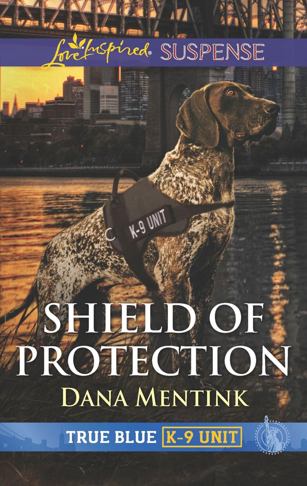 Big bigCover of Shield of Protection