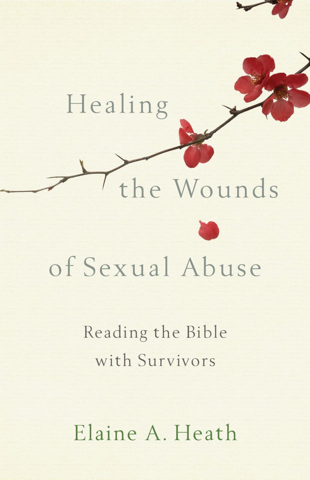 Big bigCover of Healing the Wounds of Sexual Abuse