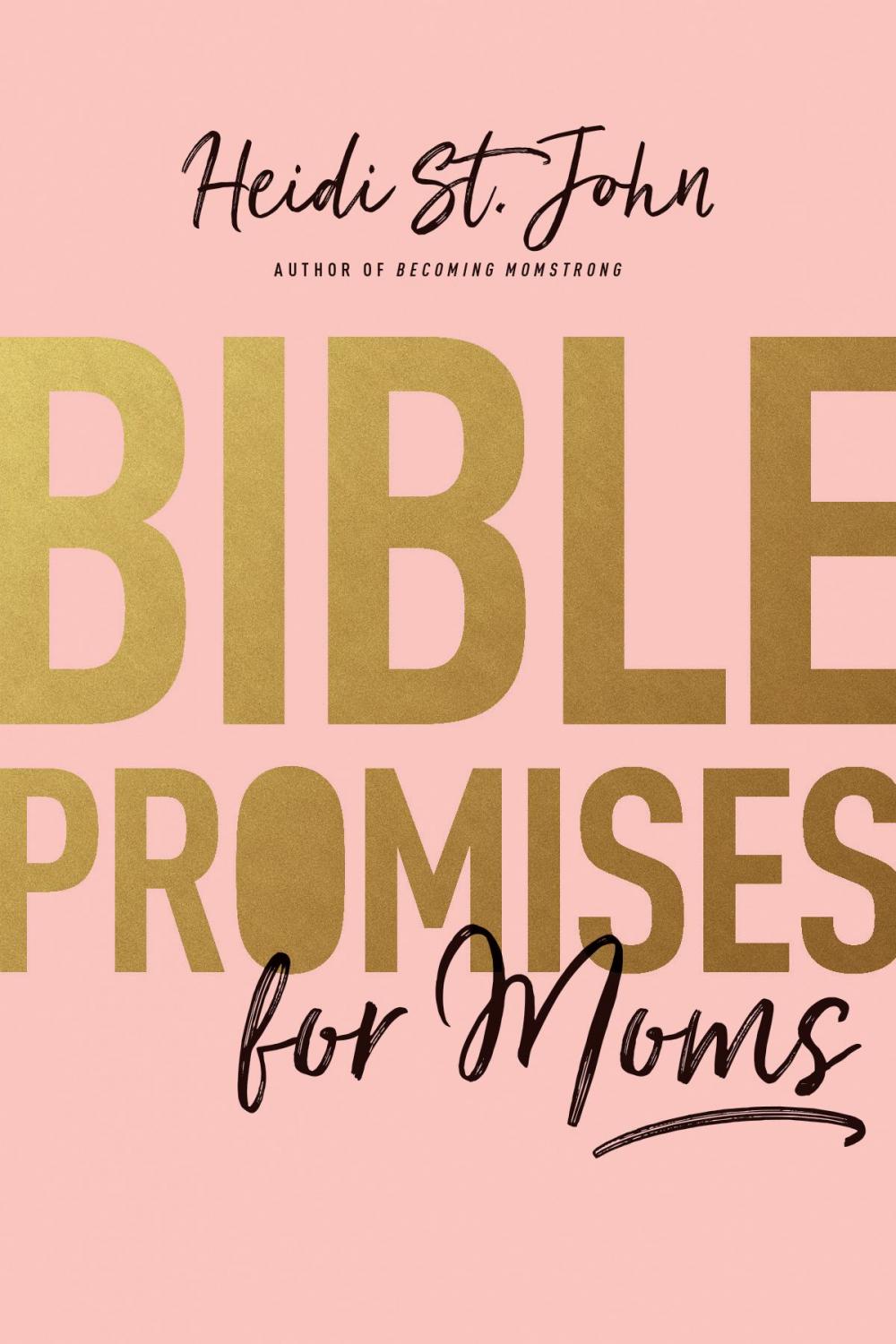 Big bigCover of Bible Promises for Moms