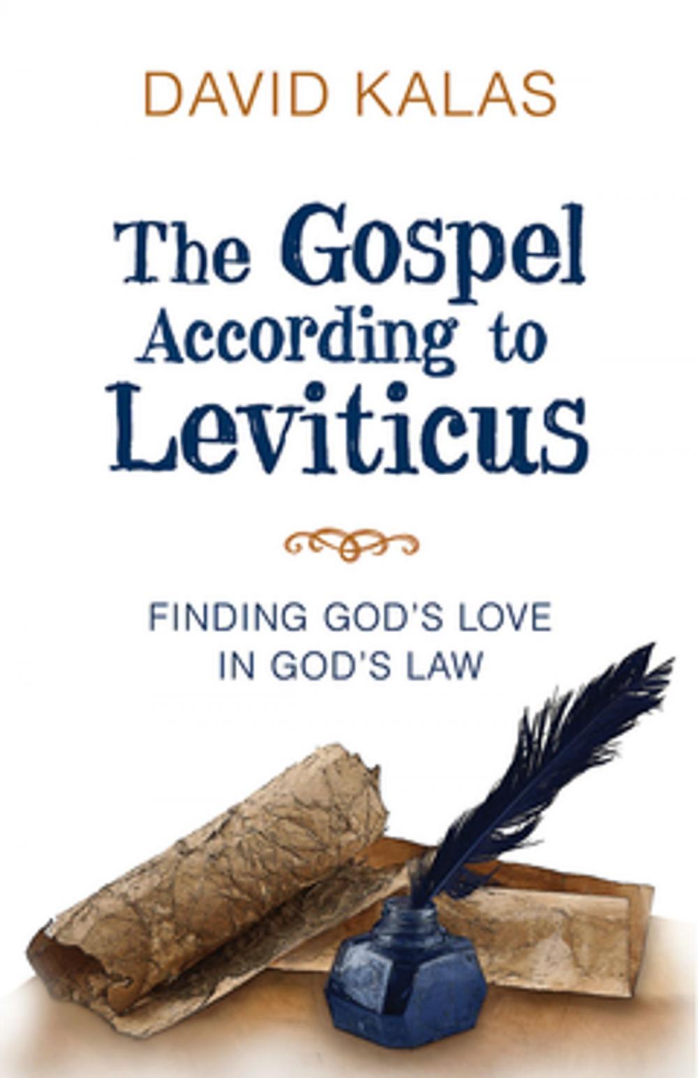 Big bigCover of The Gospel According to Leviticus