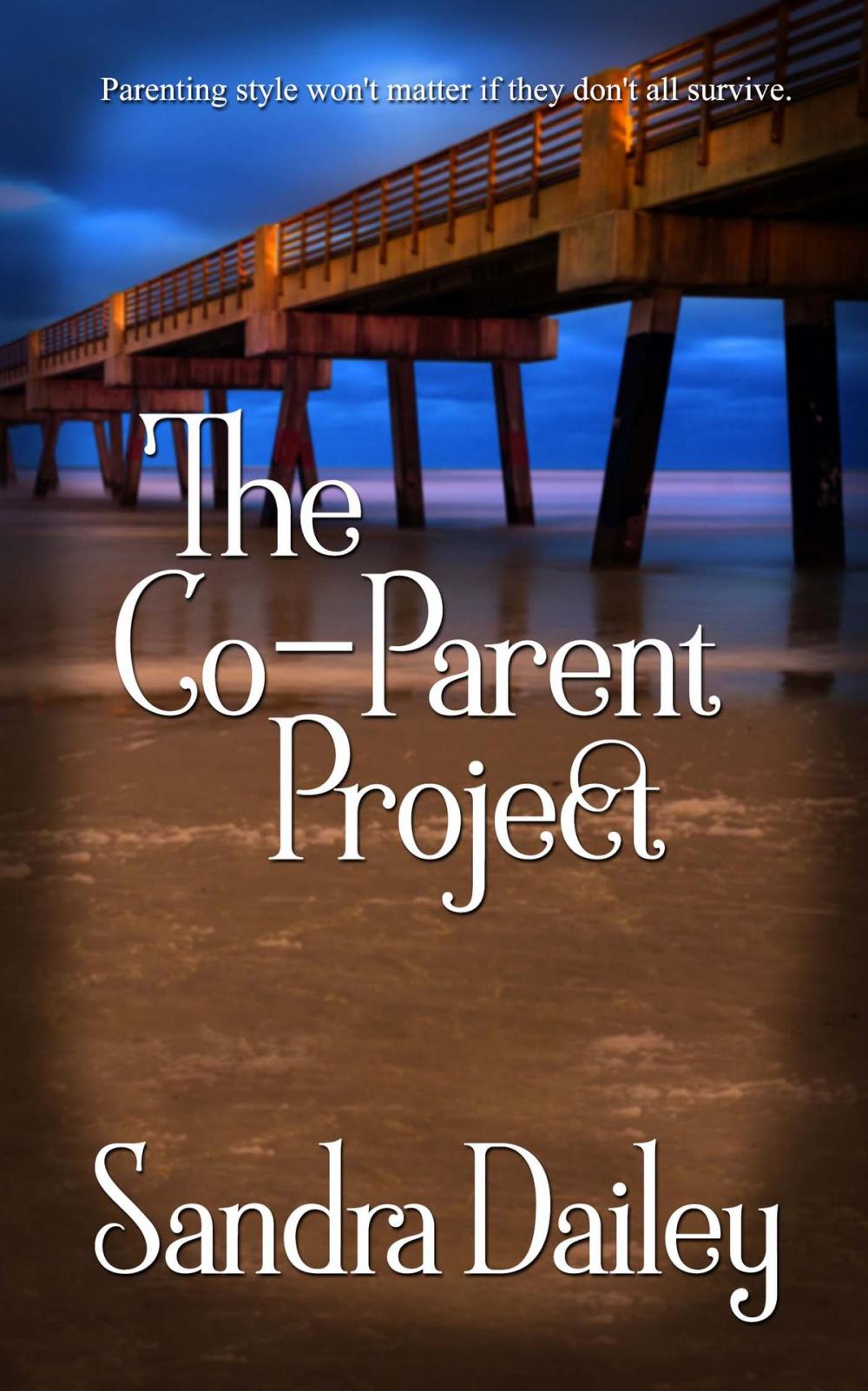 Big bigCover of The Co-Parent Project