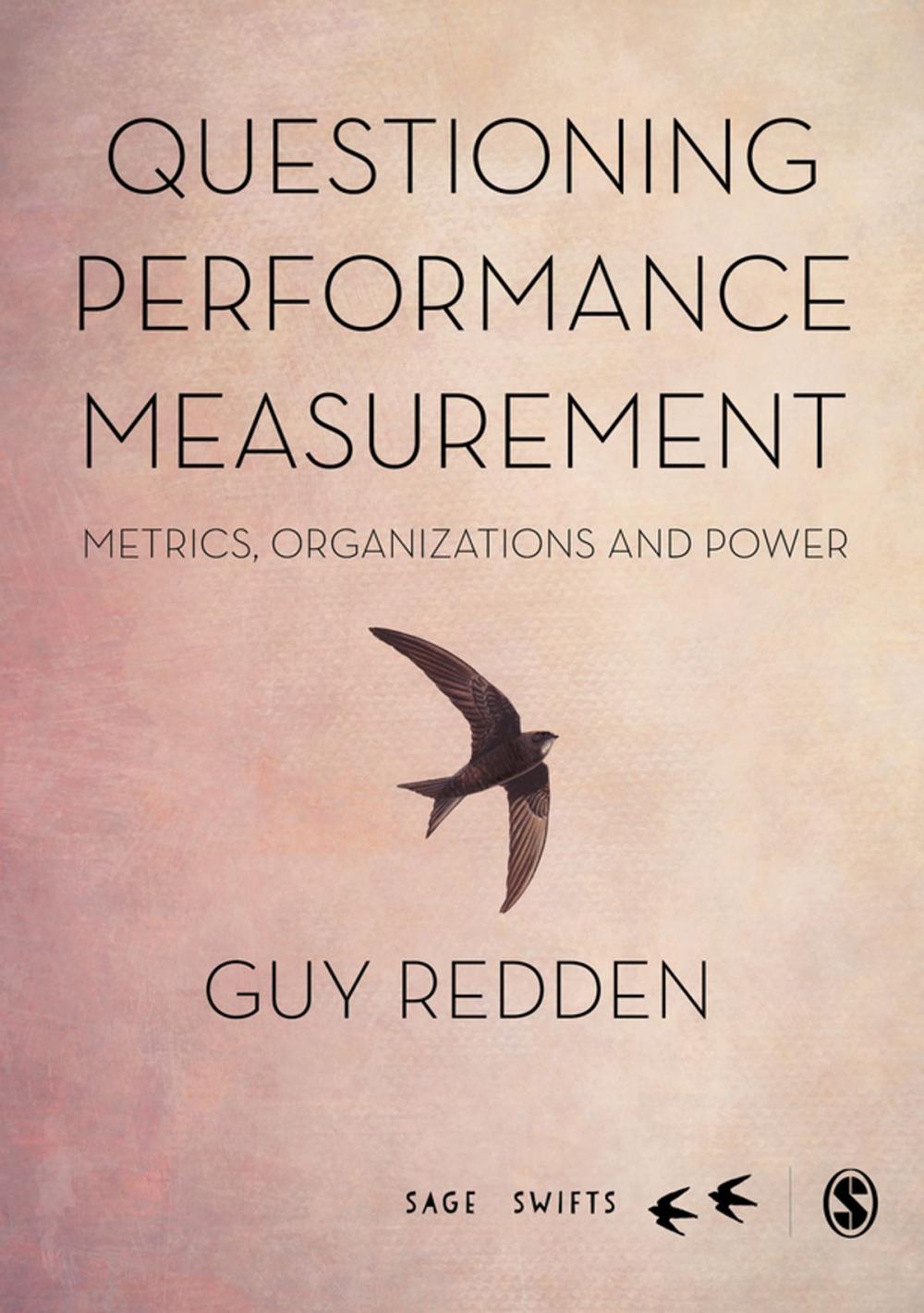 Big bigCover of Questioning Performance Measurement: Metrics, Organizations and Power