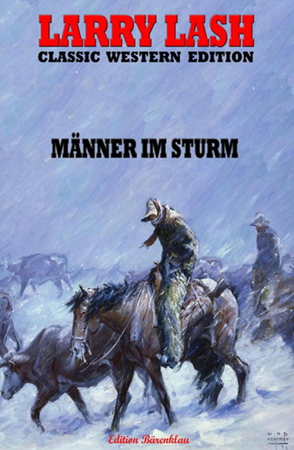 Big bigCover of Männer im Sturm