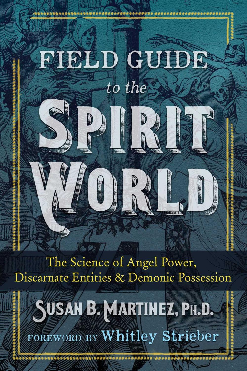 Big bigCover of Field Guide to the Spirit World