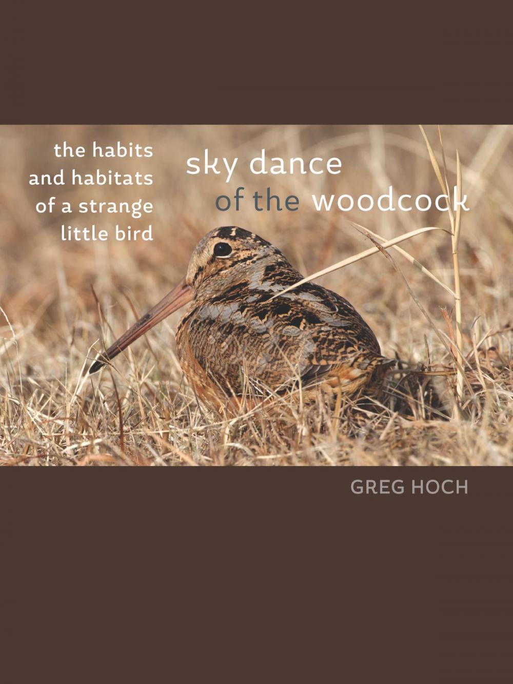 Big bigCover of Sky Dance of the Woodcock