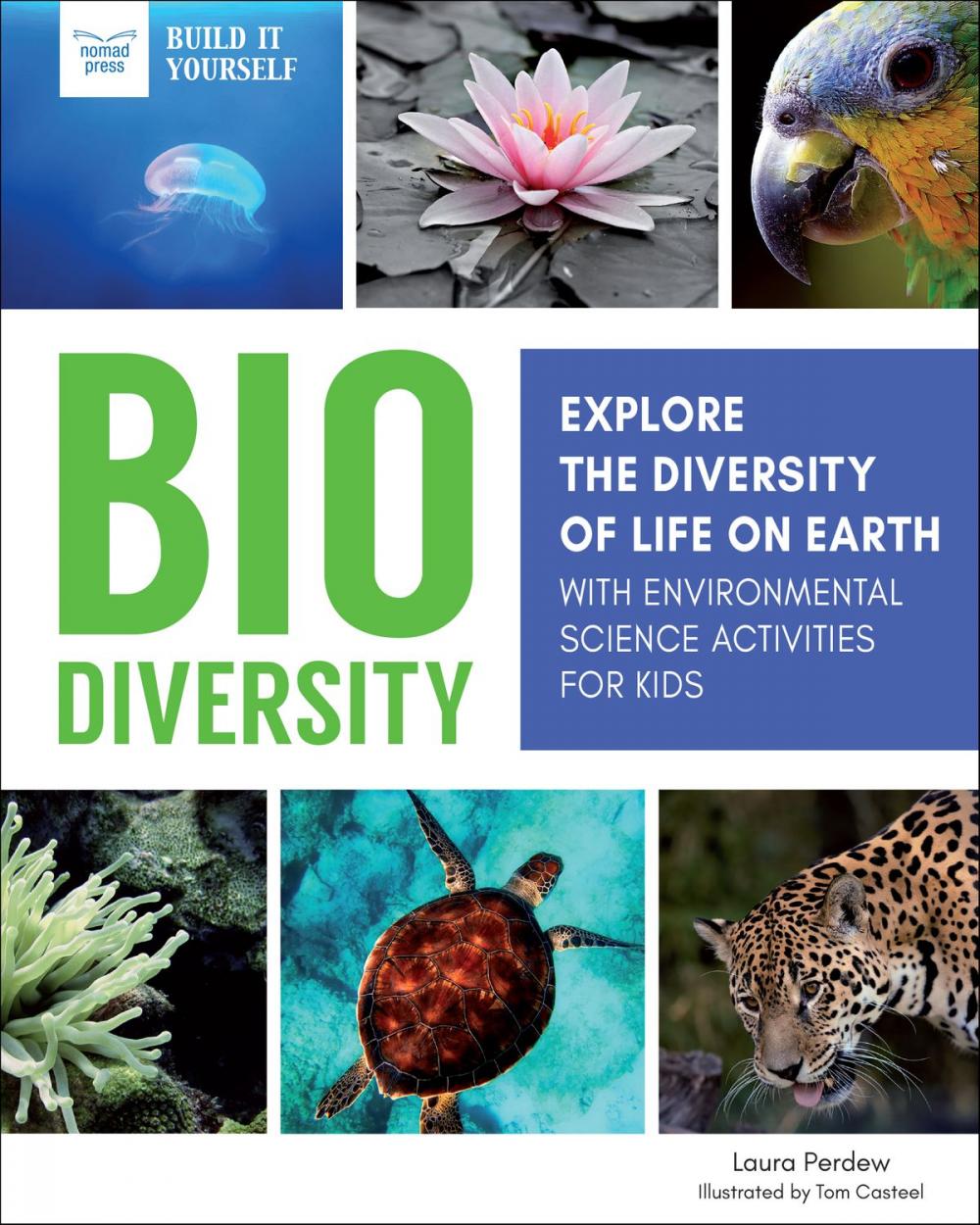 Big bigCover of Biodiversity