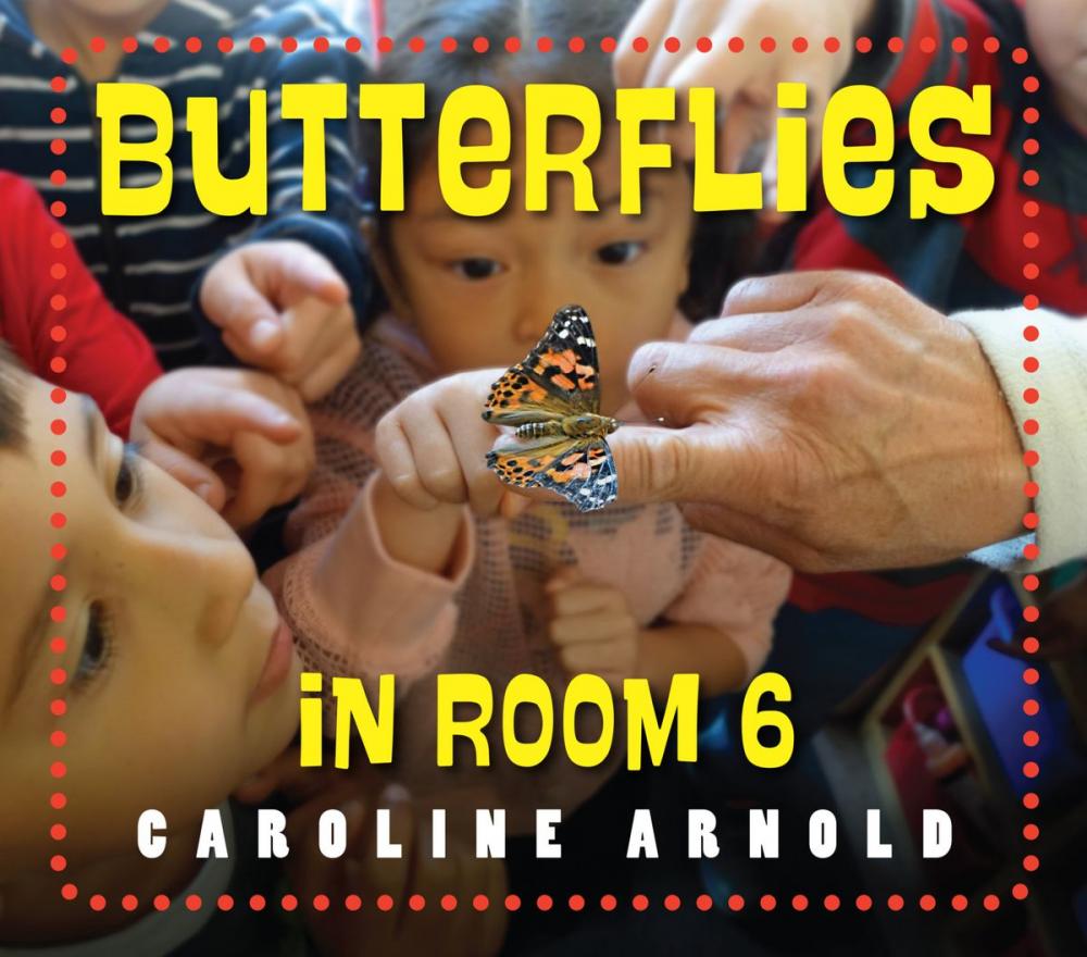 Big bigCover of Butterflies in Room 6