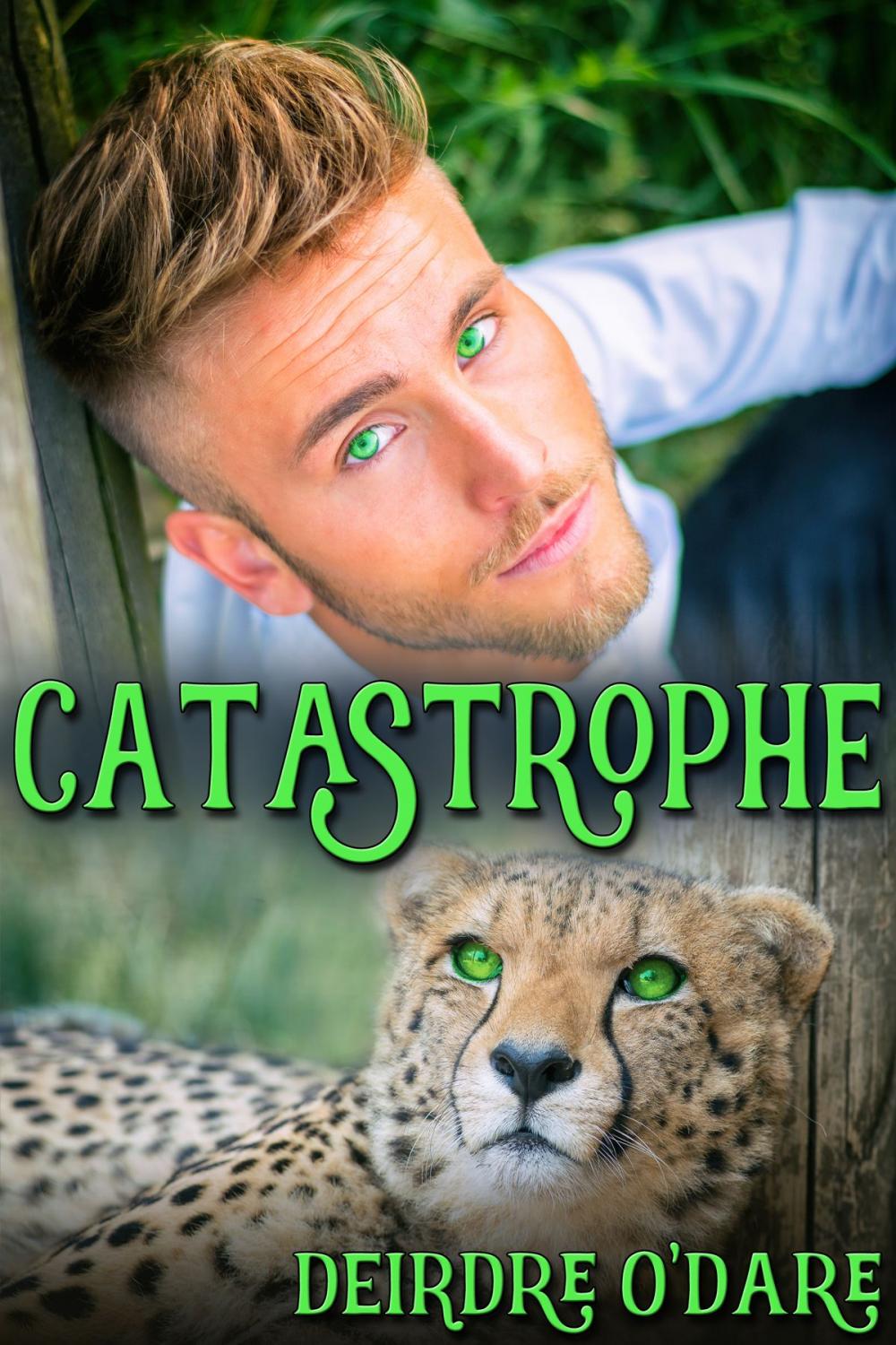 Big bigCover of Catastrophe