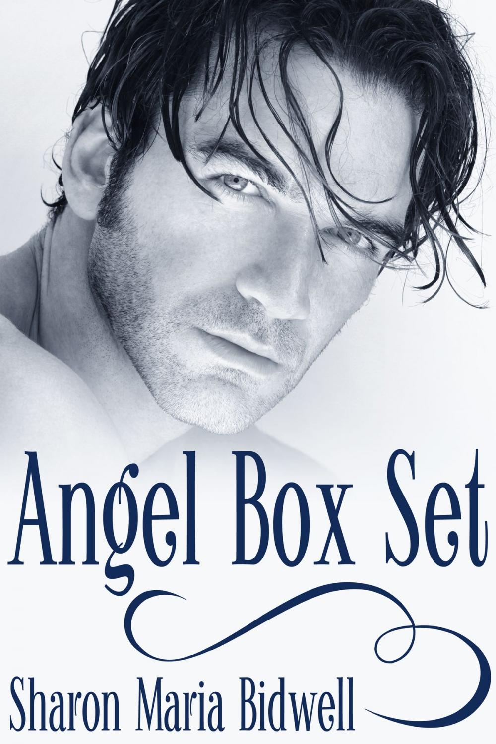 Big bigCover of Angel Box Set