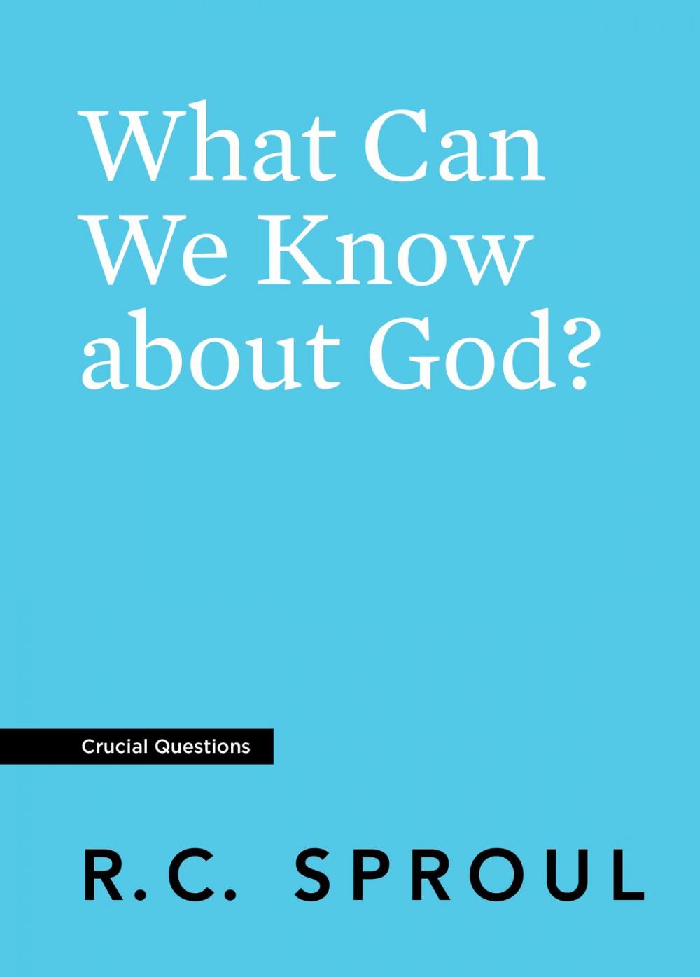 Big bigCover of What Can We Know about God?