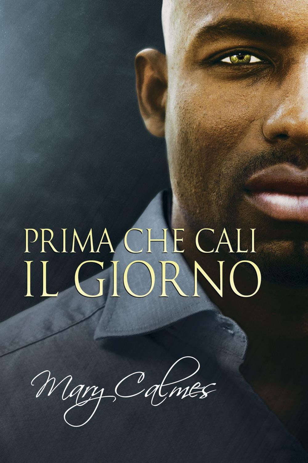 Big bigCover of Prima che cali il giorno