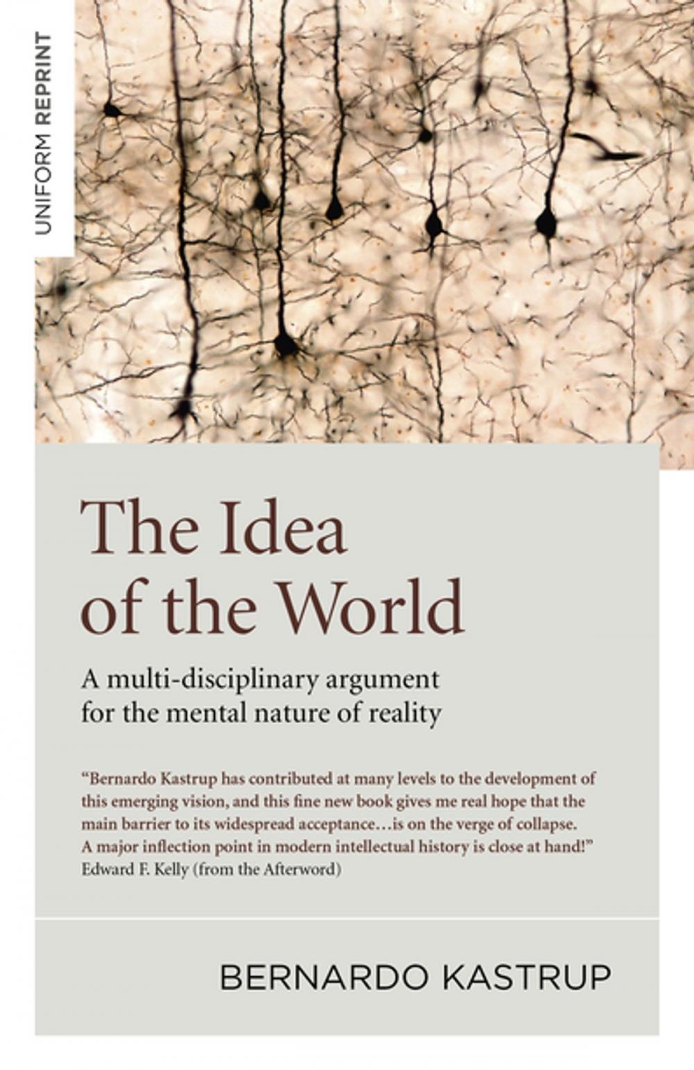 Big bigCover of The Idea of the World