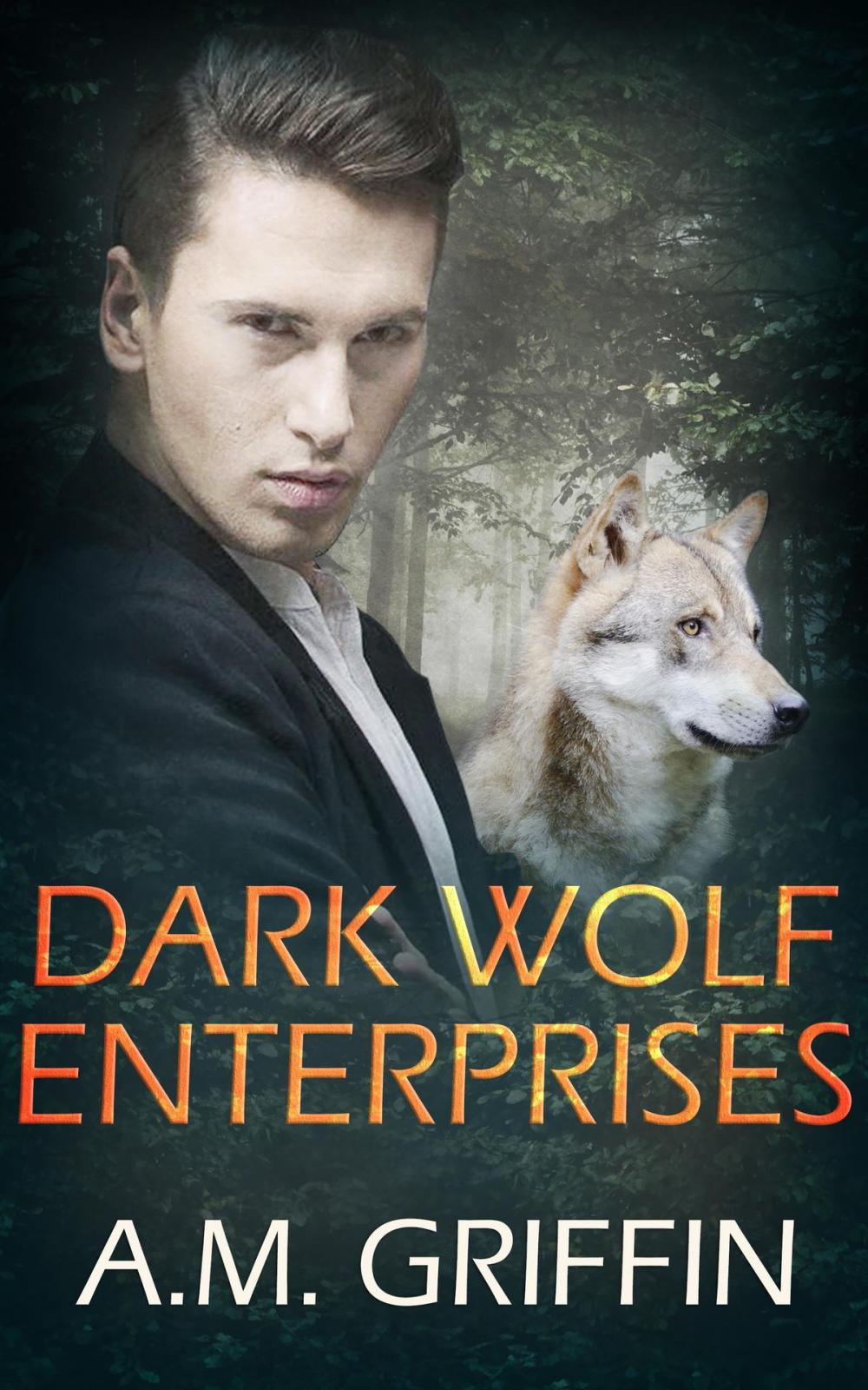 Big bigCover of Dark Wolf Enterprises: A Box Set: A Box Set