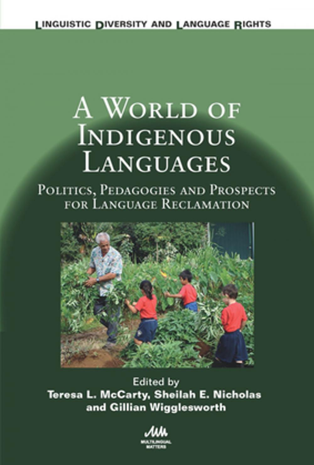 Big bigCover of A World of Indigenous Languages