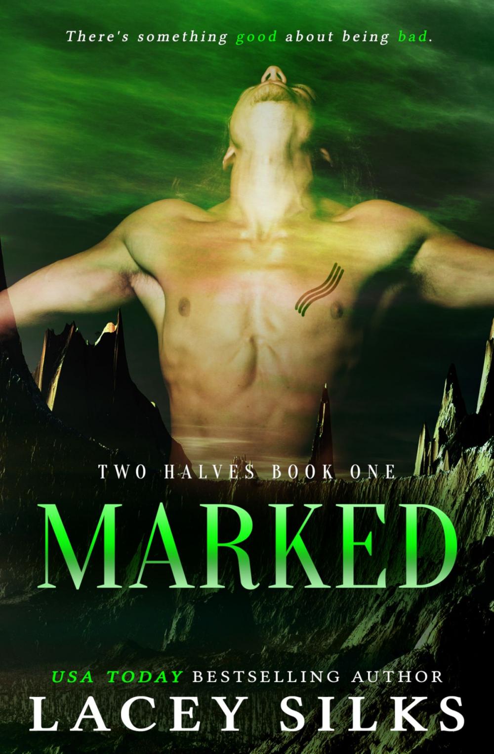 Big bigCover of Marked