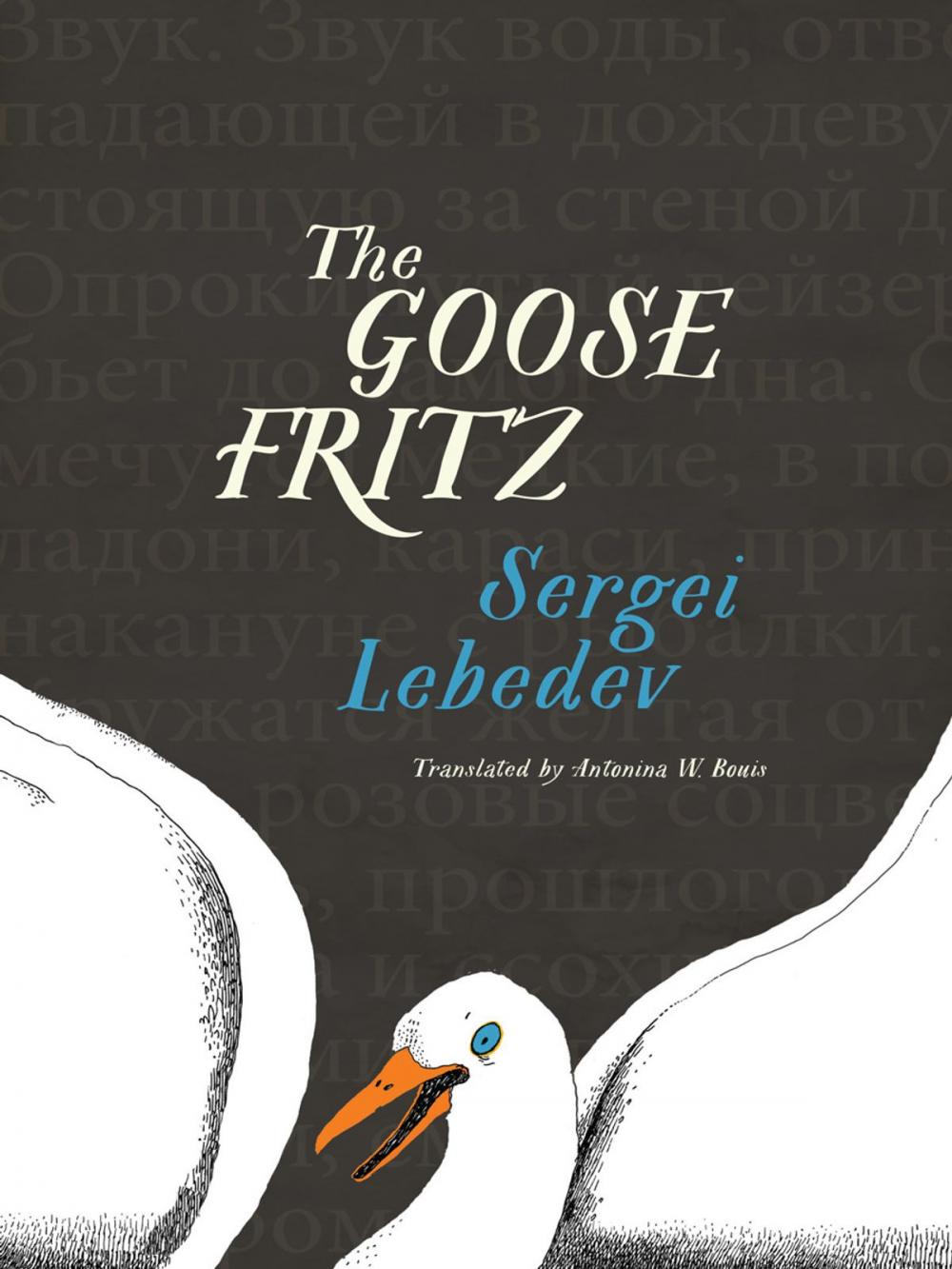 Big bigCover of The Goose Fritz