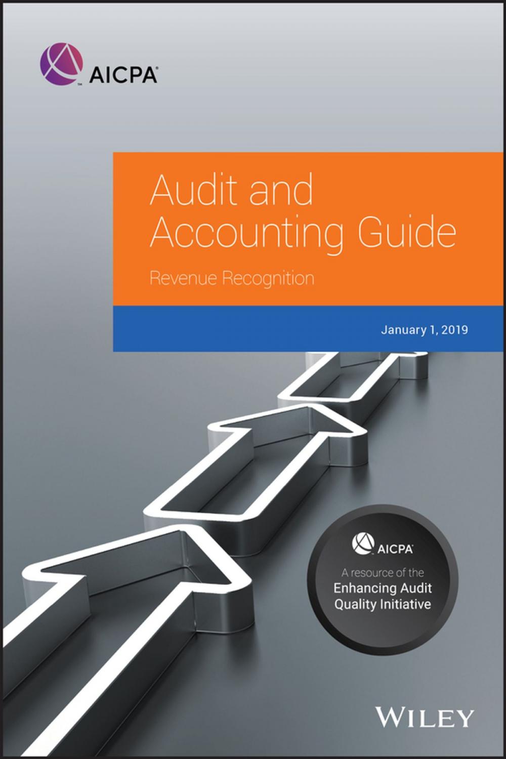 Big bigCover of Audit and Accounting Guide