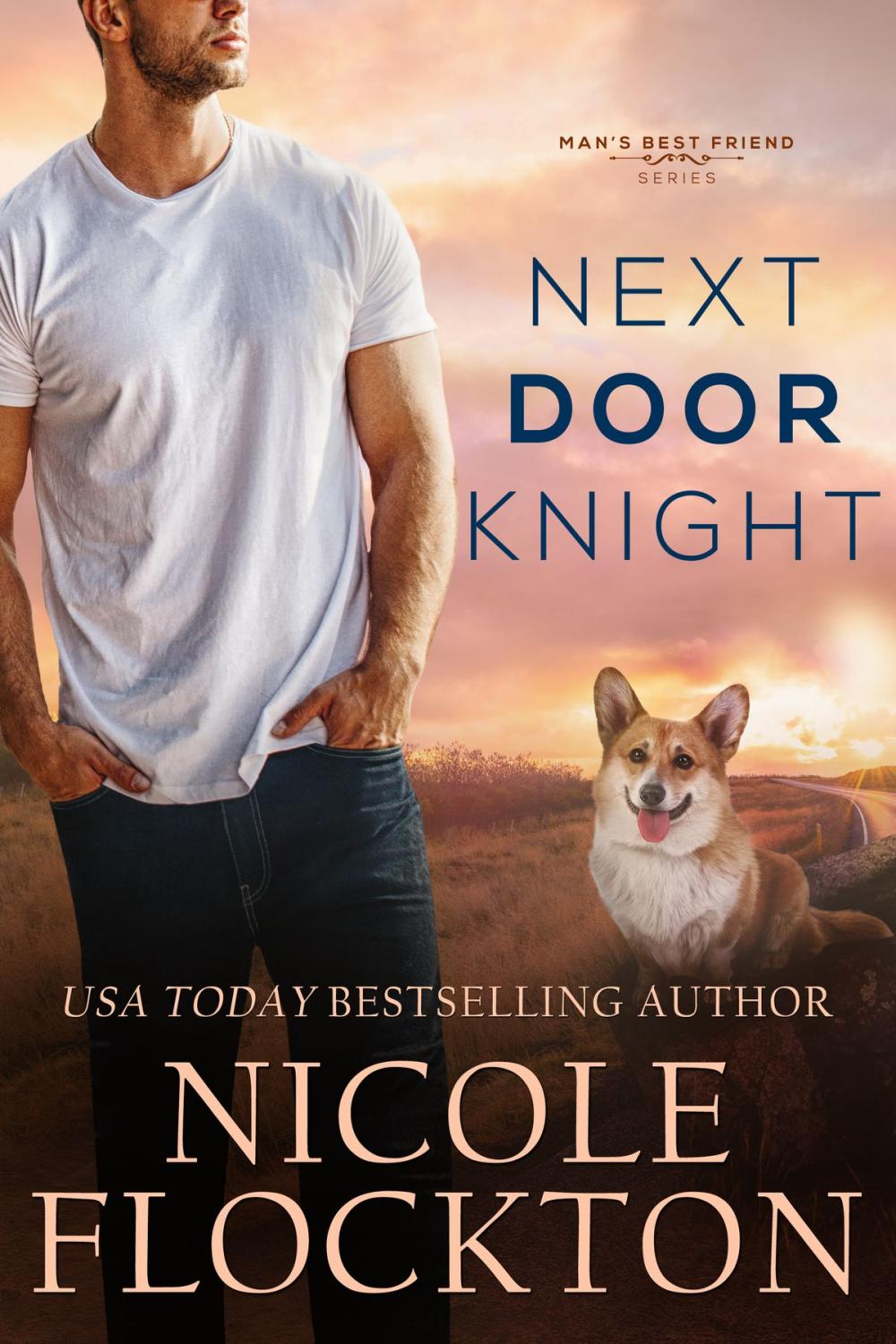 Big bigCover of Next Door Knight