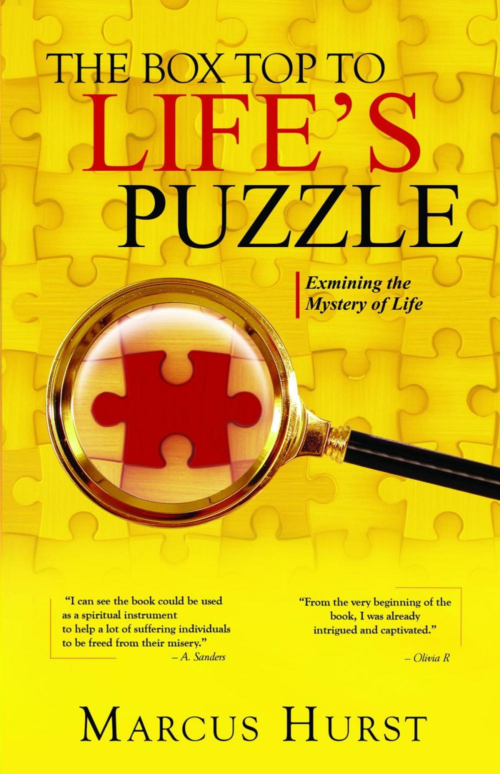 Big bigCover of The Box Top to Life's Puzzle