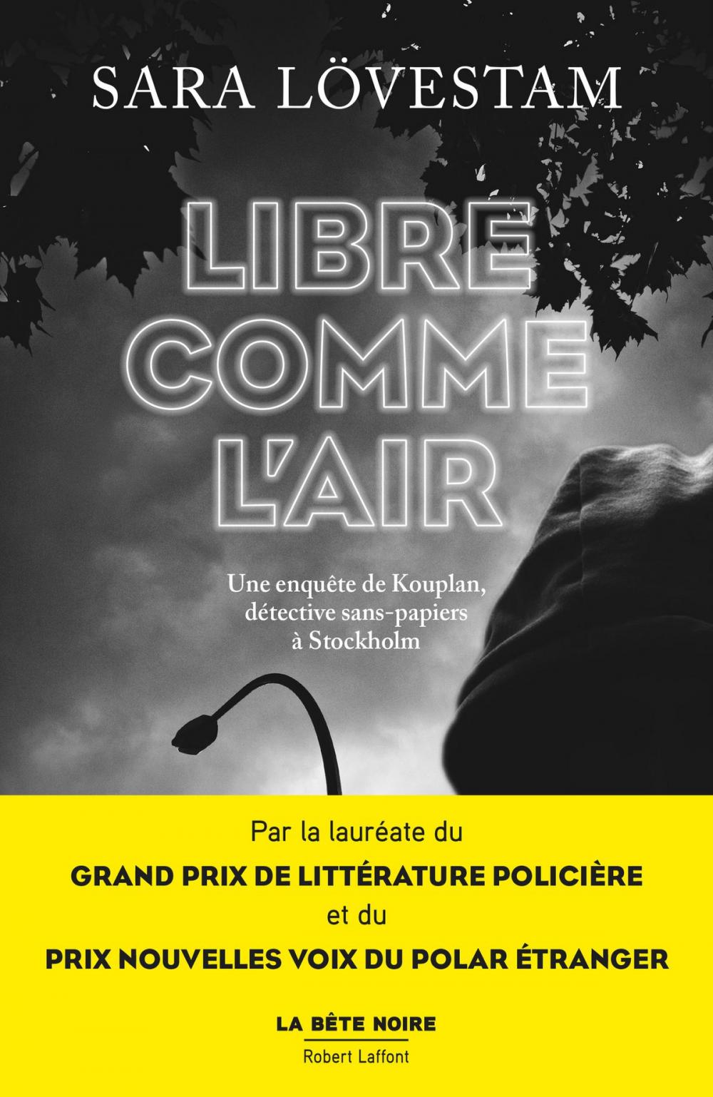 Big bigCover of Libre comme l'air